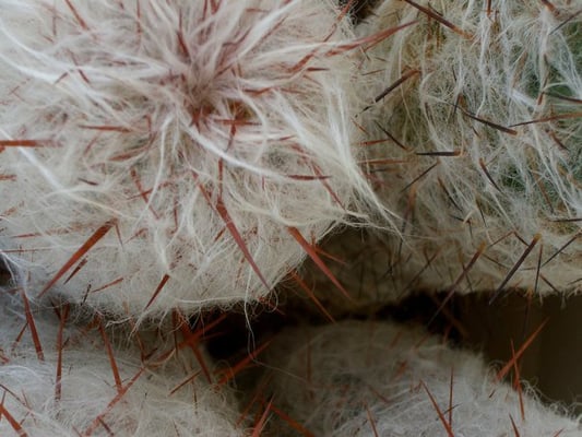 Miracle Manor Boutique Hotel & Spa by null