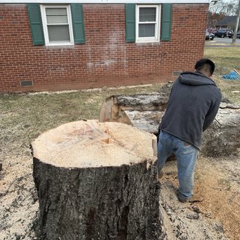 Gordon W Frazier Tree Service - Tree Services Near Me - Fairfax, Virginia Gordon W Frazier Tree Service - Tree Services Near Me - Fairfax, Virginia