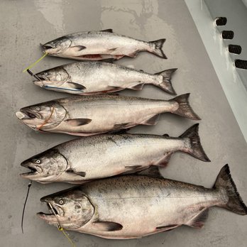 Fish Emeryville - Some great looking salmon - Fishing Near Me - Emeryville, California
