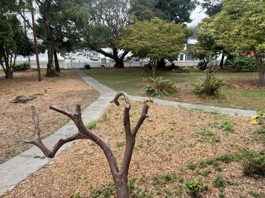 Shaw House Inn by null