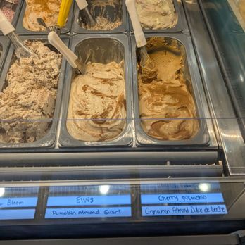 Tifa Chocolate & Gelato - Gelato Near Me - Webster, Texas Tifa Chocolate & Gelato - Gelato Near Me - Webster, Texas