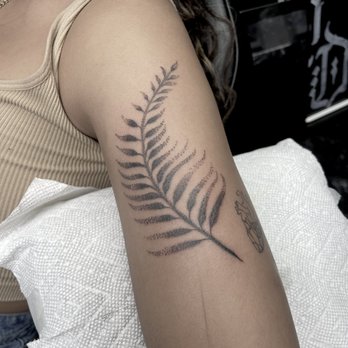 CFS Tattoo - fern leaf tattoo - Tattoo Near Me - San Antonio, Texas