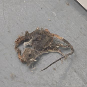 Public Storage - Dead Rat - Self Storage Near Me - Pomona, California