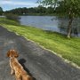 Photo of Broemmelsiek Off Leash Dog Area