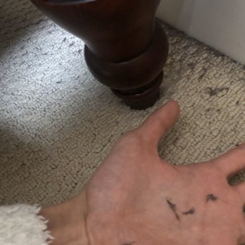 NEO Carpet Cleaning - All the dirt on the surface isn't sucked out, and they said they finished. I can pick up all the dirt myself! - Carpet Cleaning Near Me - Philadelphia, Pennsylvania