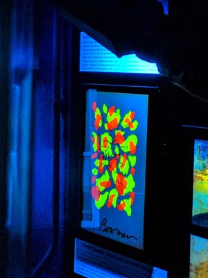 Electric Ladyland - Museum of Fluorescent Art by null