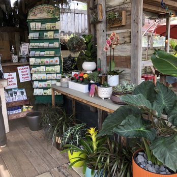 Midtown Garden Center - Nurseries & Gardening Near Me - Miami, Florida Midtown Garden Center - Nurseries & Gardening Near Me - Miami, Florida