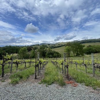 Christopher Creek Winery - Wineries Near Me - Healdsburg, California Christopher Creek Winery - Wineries Near Me - Healdsburg, California