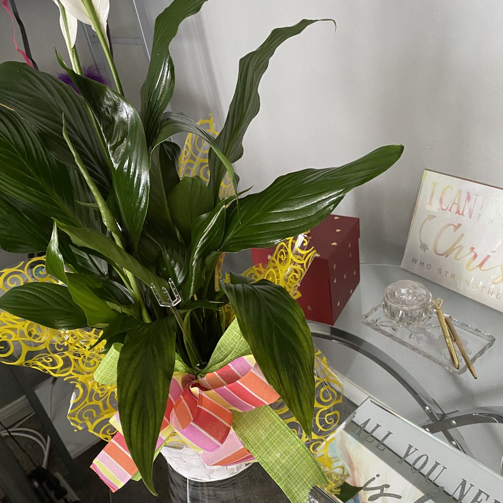 Flowers In Hattiesburg Ms Best Flower Site