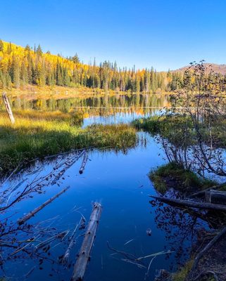 Big Cottonwood Canyon by null