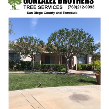 Gonzalez Brothers Tree Service - Tree Thinning - Tree Services Near Me - Fallbrook, California Gonzalez Brothers Tree Service - Tree Thinning - Tree Services Near Me - Fallbrook, California