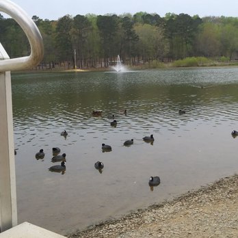 Cullman County Parks - More. With the fountain - Parks Near Me - Cullman, Alabama