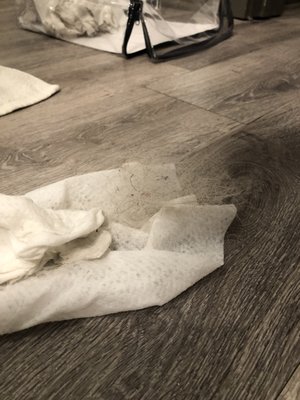 The Baxter Decatur Apartments by null