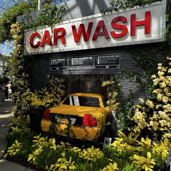 New York Botanical Garden - "Welcome to the car wash" - Botanical Gardens Near Me - Bronx, New York New York Botanical Garden - "Welcome to the car wash" - Botanical Gardens Near Me - Bronx, New York