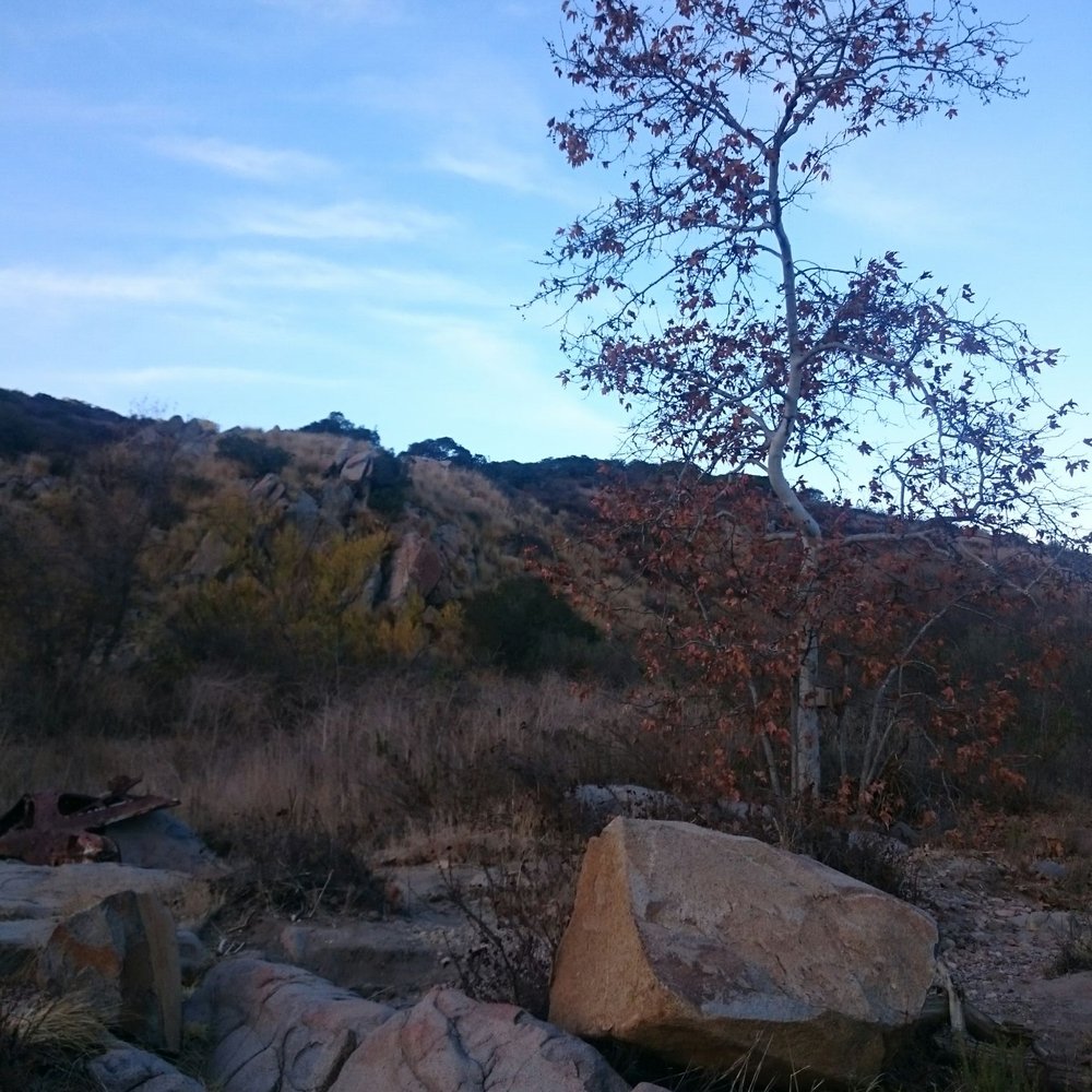Oak Canyon Trail - Hiking Near Me Oak Canyon Trail - Hiking Near Me