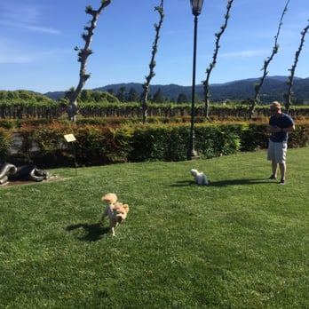 Peju Winery - Wine Tasting Room Near Me - Rutherford, California Peju Winery - Wine Tasting Room Near Me - Rutherford, California