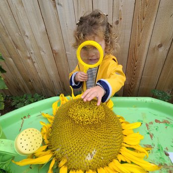 Little Orchard Preschool - Preschools Near Me - Kent, Washington Little Orchard Preschool - Preschools Near Me - Kent, Washington