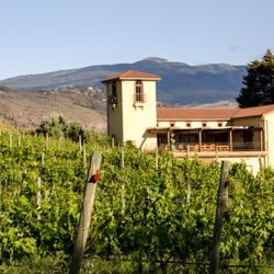 LaStella Winery