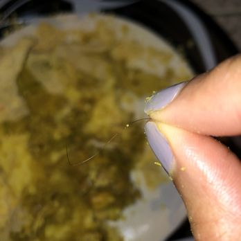 Caribbean Palace - Yikes. - Trinidadian Near Me - Takoma Park, Maryland