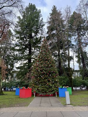 Healdsburg Plaza by null