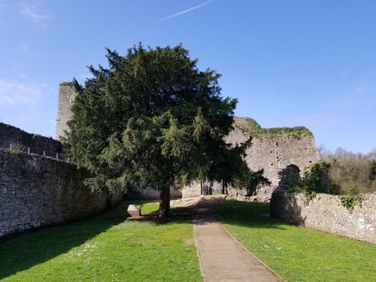 Chepstow Castle by null