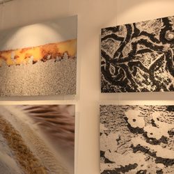 Galerie Usedomfotos