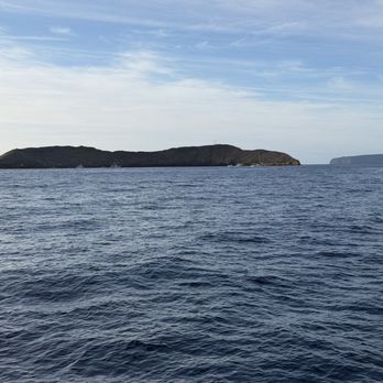 Alii Nui Sailing Charters - Tours Near Me - Wailuku, Hawaii