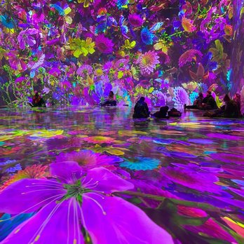 ARTECHOUSE DC - Pixel bloom - Art Galleries Near Me - Washington, DC, District of Columbia