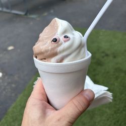 Small Cup of Soft Serve Ice Cream