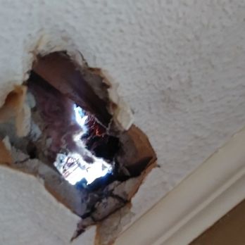 Carlson Tree Service - photo of the hole. - Tree Services Near Me