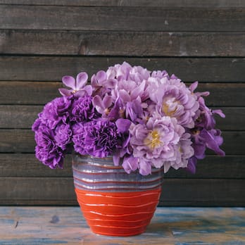 Anthology Co. - Moderno - Florists Near Me - Miami, Florida