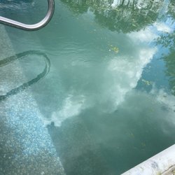 Crystal Pool and Spa - Pool