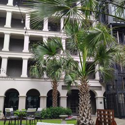 Courtyard Courtyard
