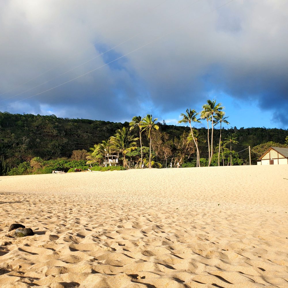 Waimea Bay Beach Park Logo