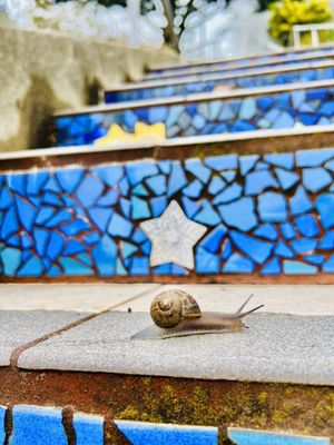 16th Avenue Tiled Steps by null