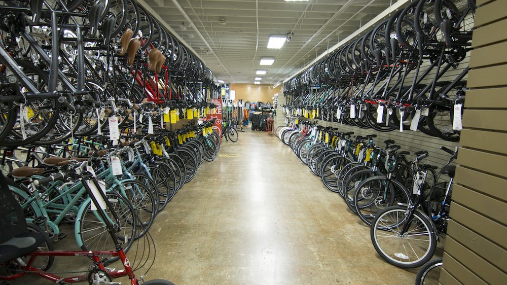 ERIK’S BIKE BOARD SKI with 36 Reviews & 27 Photos 8006 Blvd, St. Louis Park