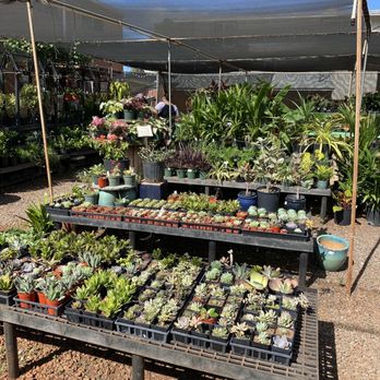 Mari's Gardens - Nurseries & Gardening Near Me - Mililani, Hawaii