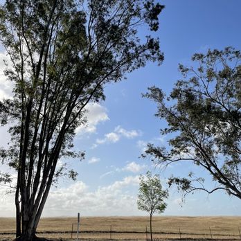 Rancho Seco Recreational Area - Good morning! Rancho Seco - Recreation Centers Near Me - Herald, California Rancho Seco Recreational Area - Good morning! Rancho Seco - Recreation Centers Near Me - Herald, California