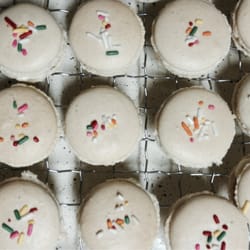 Sweet Cassandra's Cakery - Birthday Cake French Macarons
