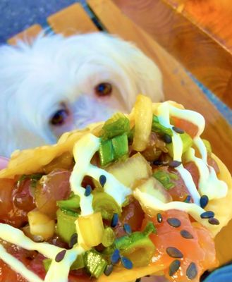 Duke's La Jolla by null