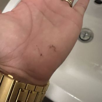 Hotel Raffaello - Dead mosquitos I killed - Hotels Near Me - Florence, FI
