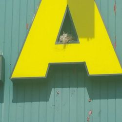 Dollarama - Birds love Dollarama too!