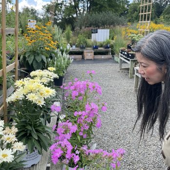 Cayuga Landscape - Nurseries & Gardening Near Me - Ithaca, New York