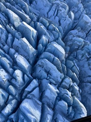 Alaska Helicopter Tours by null