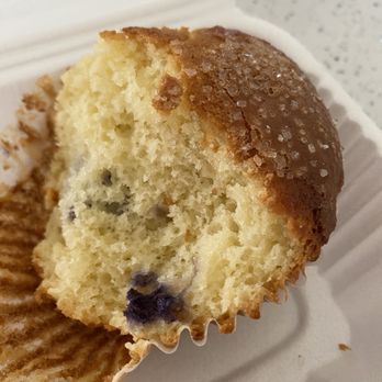 The Crumb Factory - Blueberry muffin - Bakeries Near Me - Dunedin, Florida