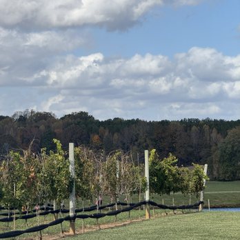 Childress Vineyards - Wineries Near Me - Lexington, North Carolina