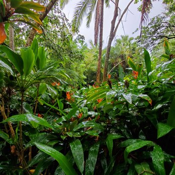 Hike Maui - Tours Near Me - Kahului, Hawaii Hike Maui - Tours Near Me - Kahului, Hawaii