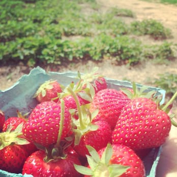 Lyman Orchards - Fruits & Veggies Near Me - Middlefield, Connecticut