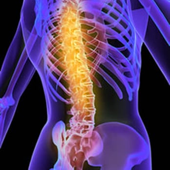 Unity Spine & Joint - Chiropractors Near Me - Avondale, Arizona Unity Spine & Joint - Chiropractors Near Me - Avondale, Arizona