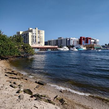 Holland Park - mini beach area - Parks Near Me - Hollywood, Florida